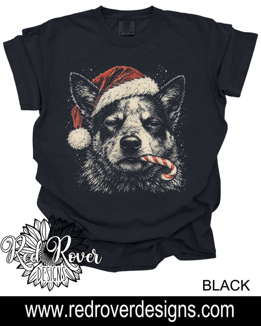Santa Heeler